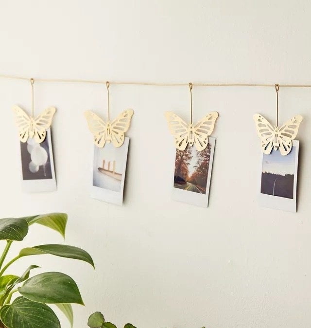 photos hanging from the clips on a wall above some plants