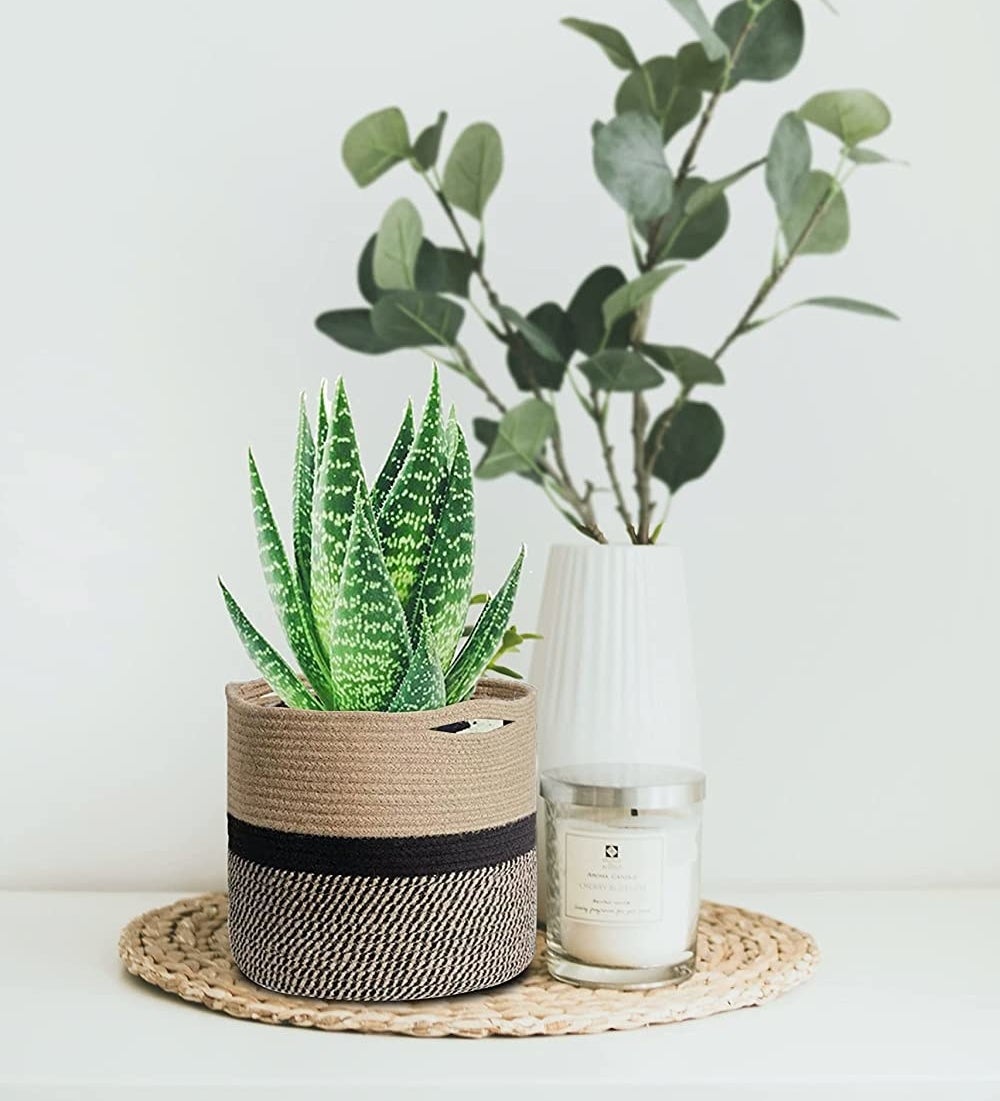 The woven basket with a snake plant in it on a table next to a vase and candle