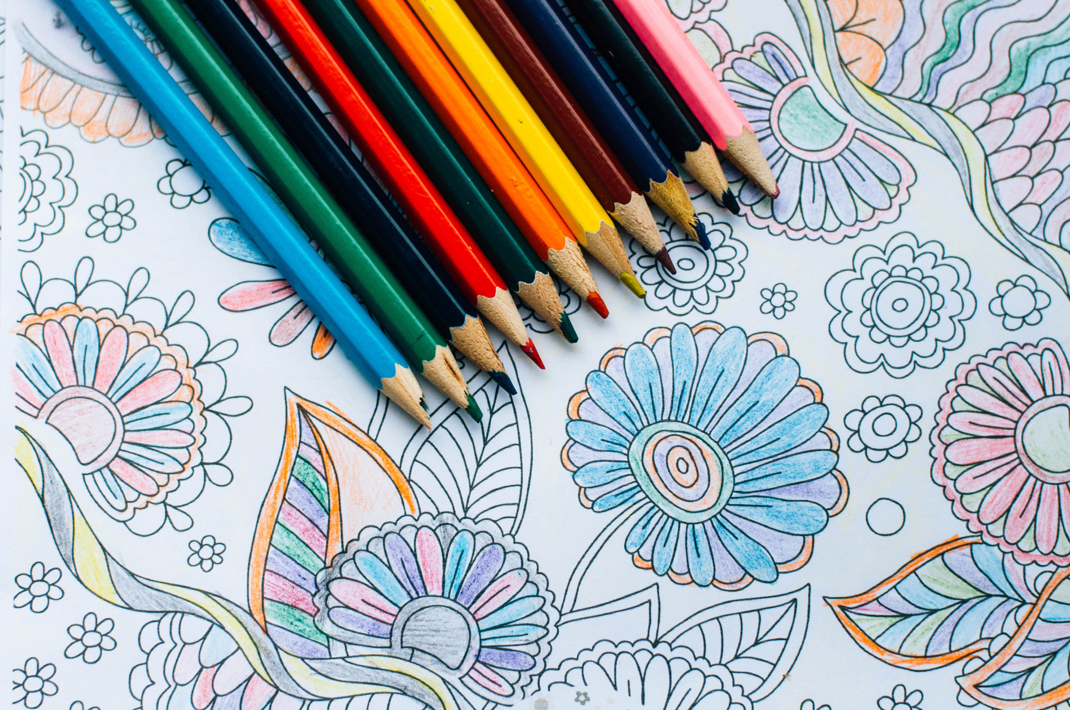 An adult coloring book