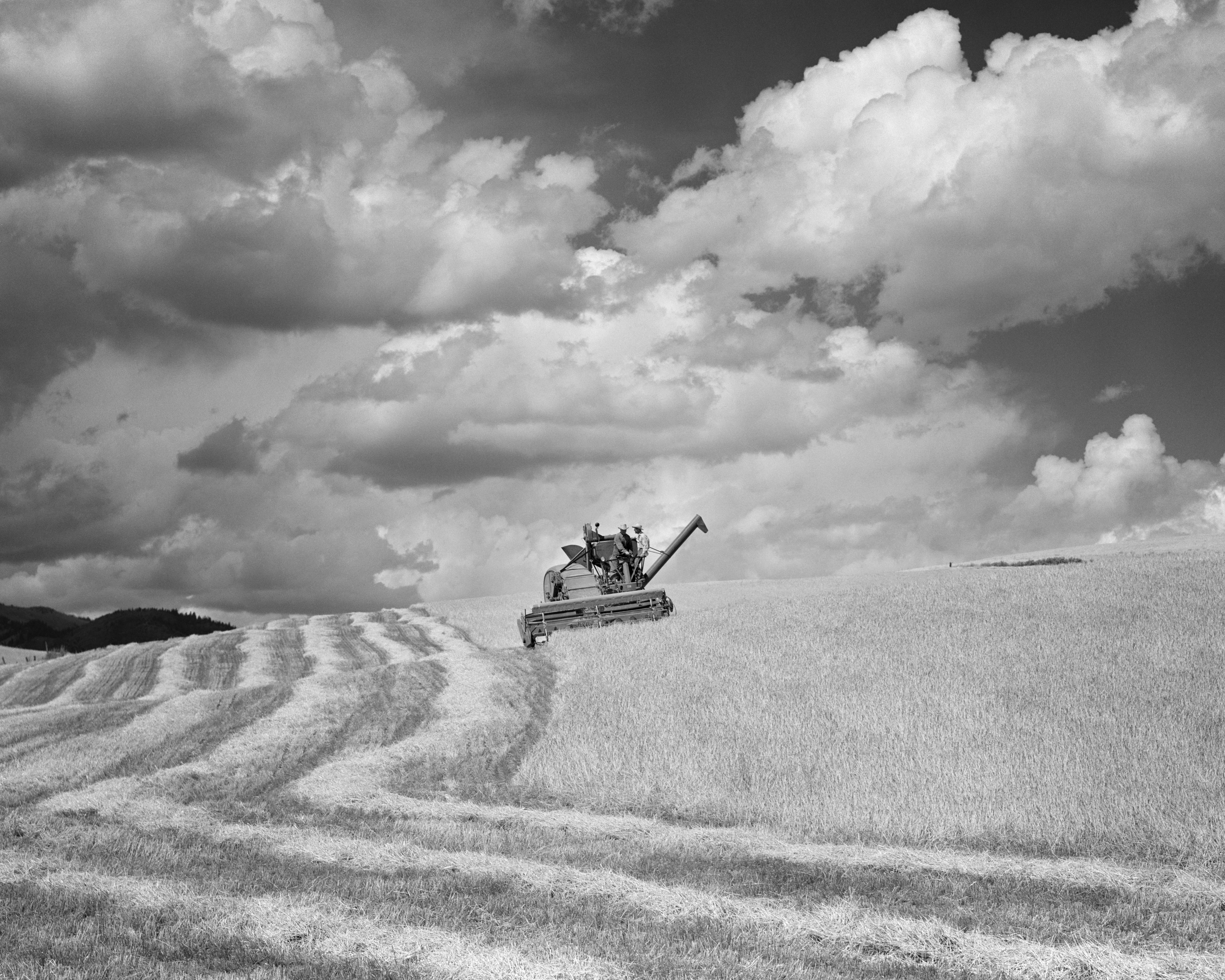 1950s Two Men On Combine On Hillside Field Of Barley Freedom Wyoming Under Sky Full Of Puffy Clouds