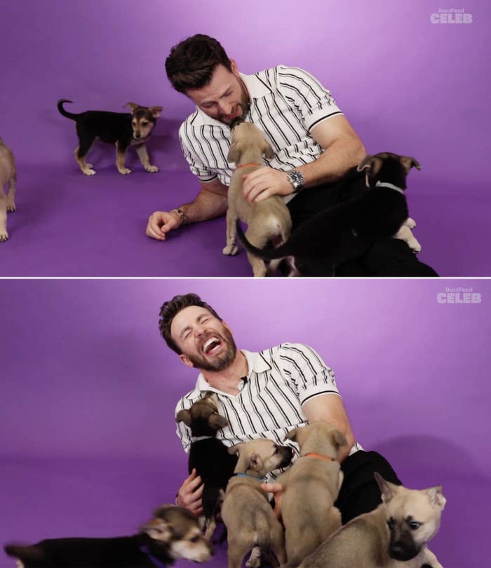 Chris laughing while playing with several puppies