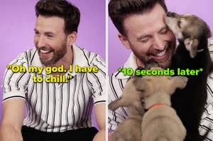 Chris Evans playing with puppies