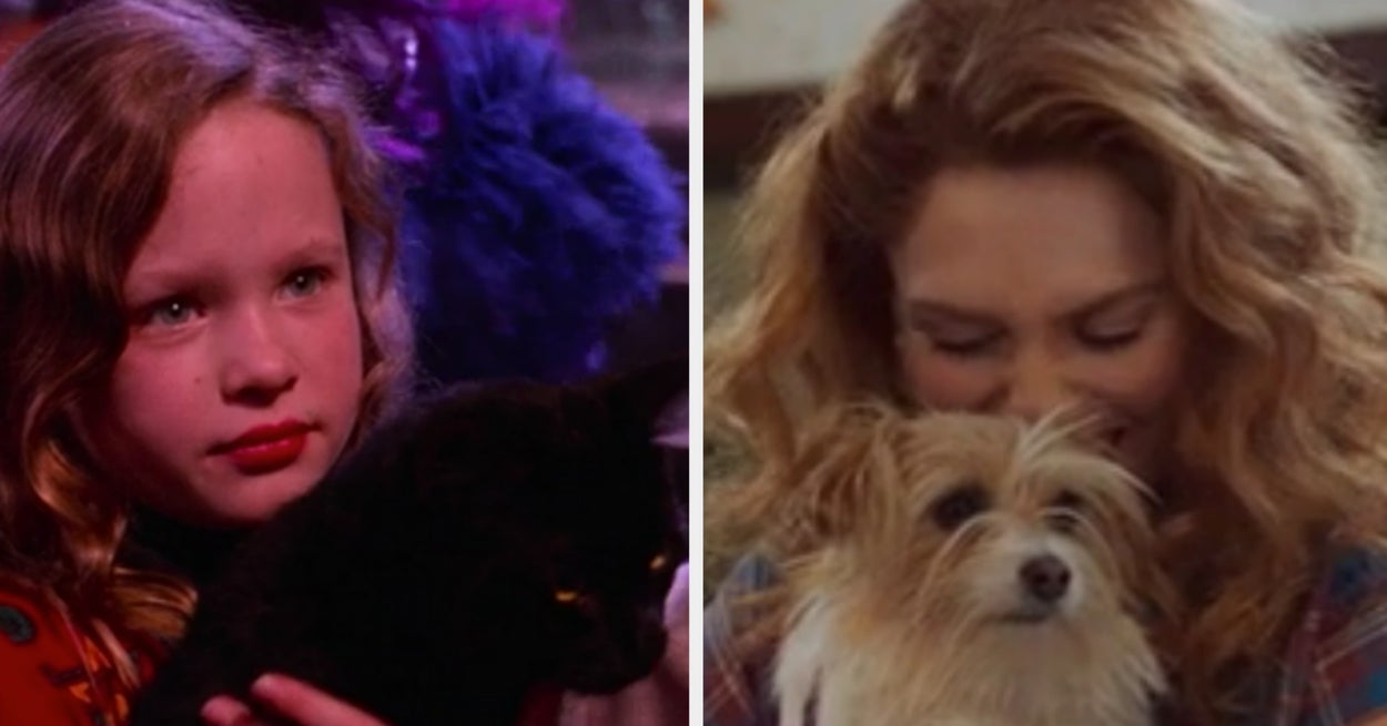 Are You More Of A Dog Or A Cat Person are-you-more-of-a-dog-or-a-cat-person