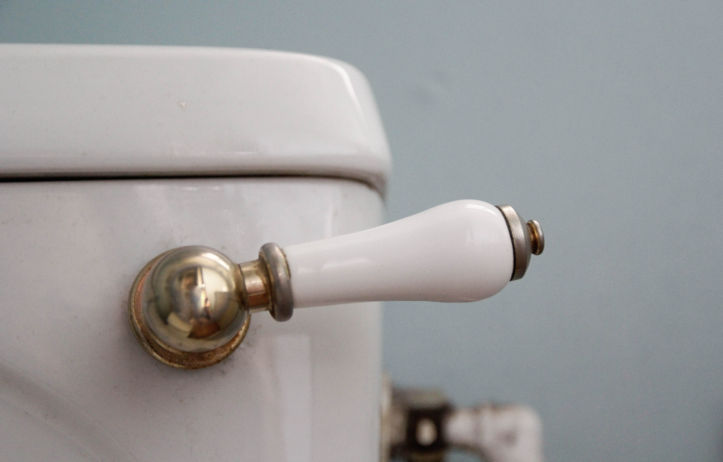 a close up of a toilet handle