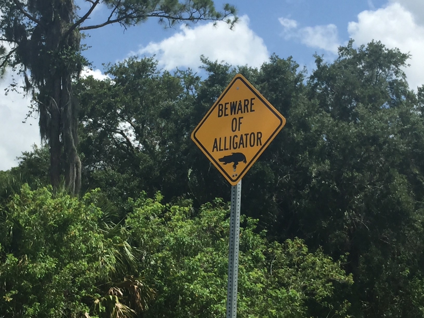 A &quot;beware of alligator&quot; sign
