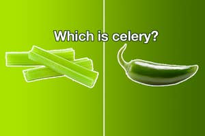 A celery and a jalapeno asking "which is celery"