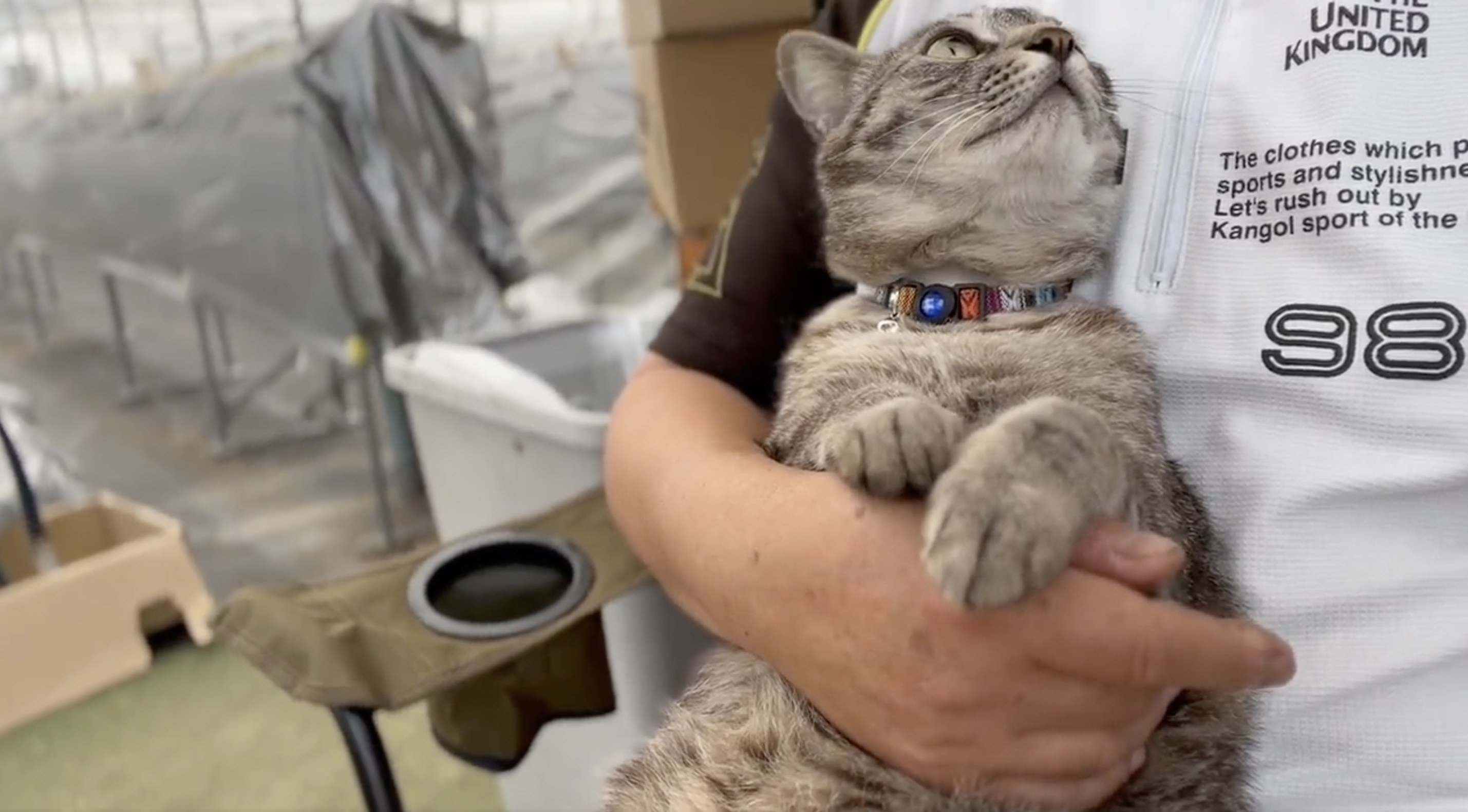 あ 抱っこされてるんだった 自分の世界に入っていたネッコが我に帰る瞬間がこちら