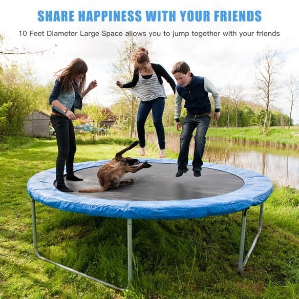 Three kids and a dog jumping on trampoline