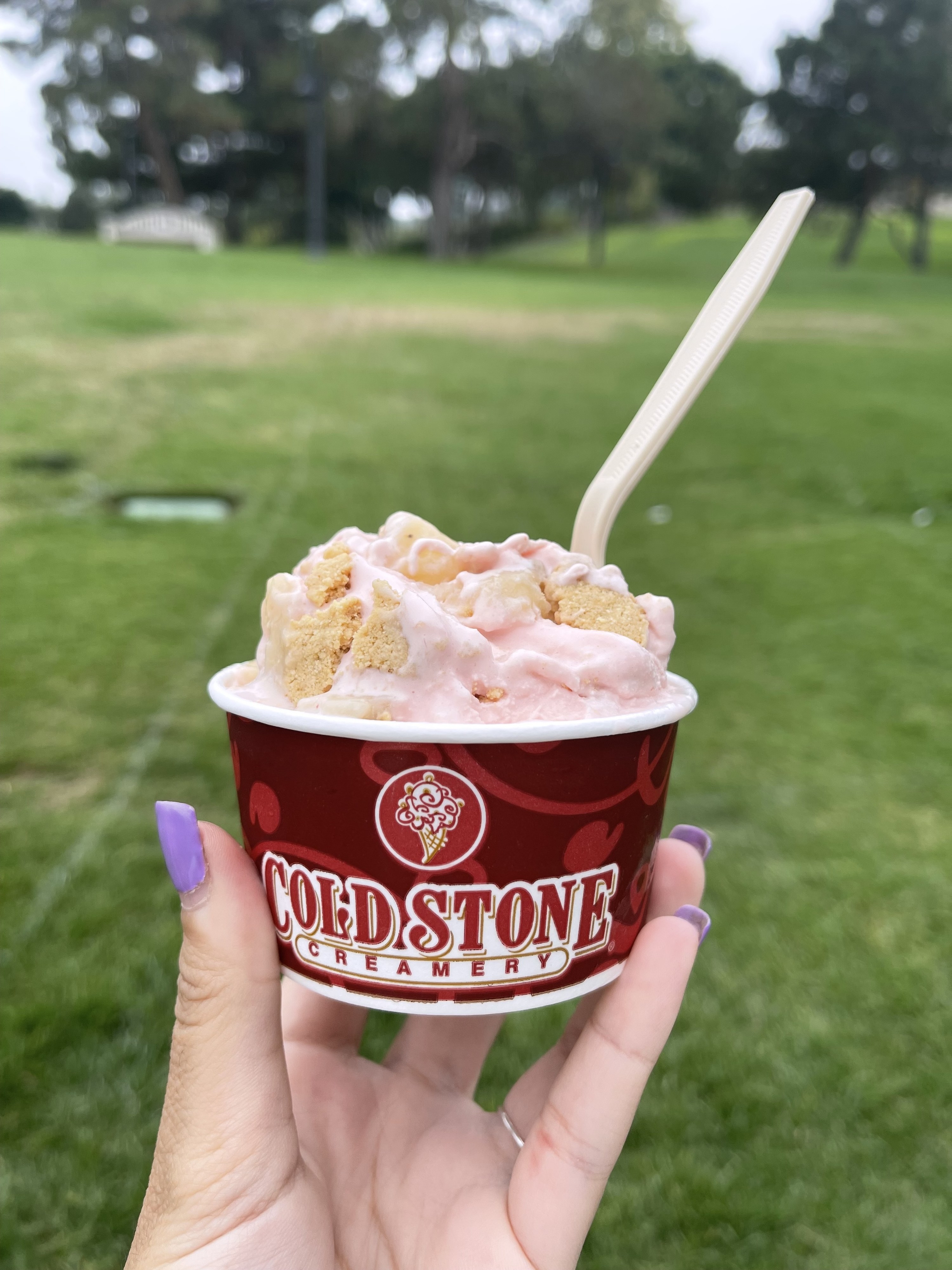 a cup of Cold Stone ice cream