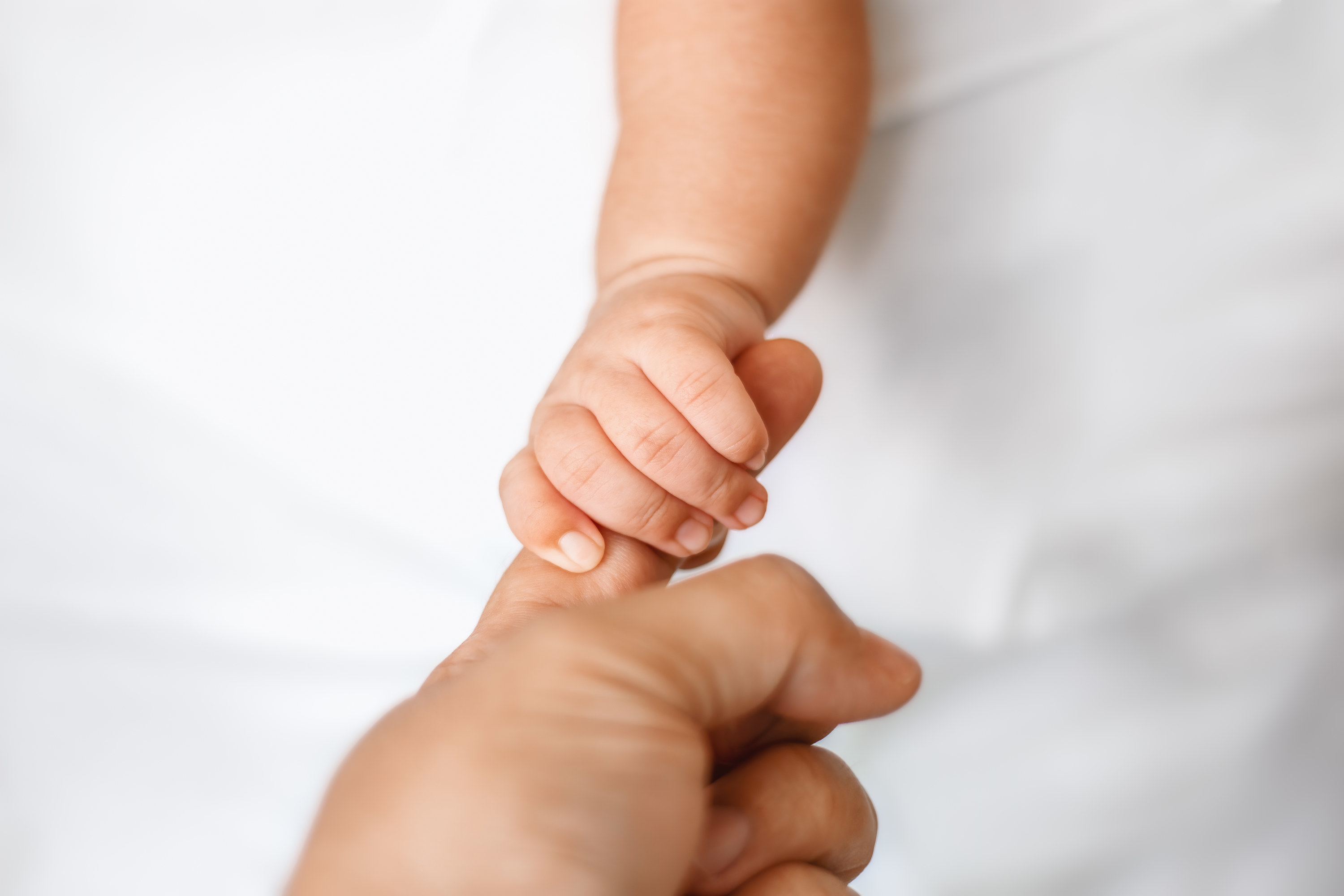 A baby holds their parent&#x27;s finger