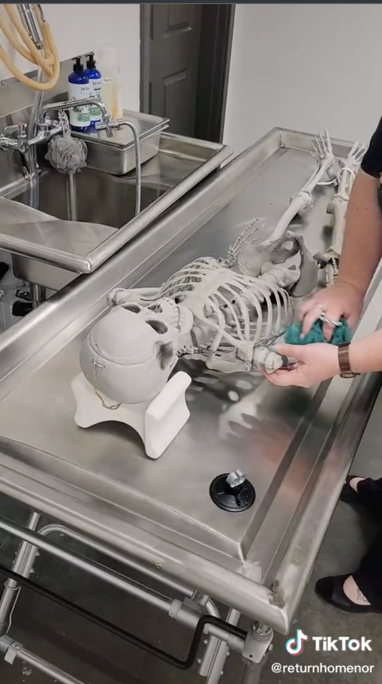 Attendants put down a plastic block and then rest the fake skeleton&#x27;s head on the block