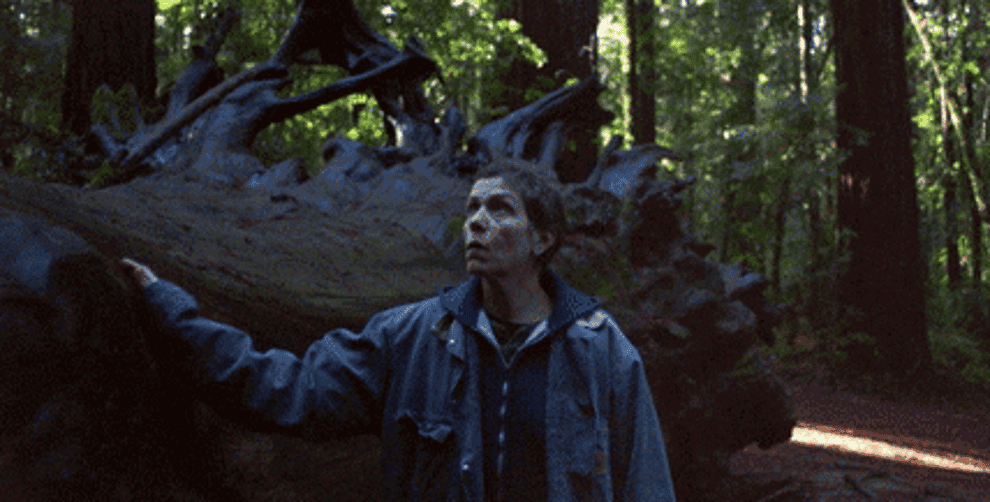 Frances McDormand walks through a forest, running her hand across a fallen tree