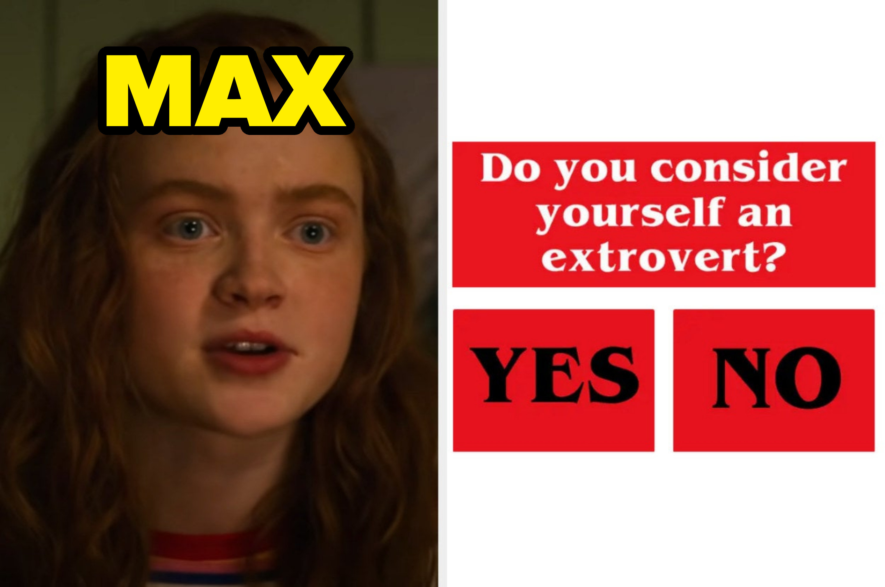 A closeup of Max; the question, &quot;Do you consider yourself an extrovert?&quot;