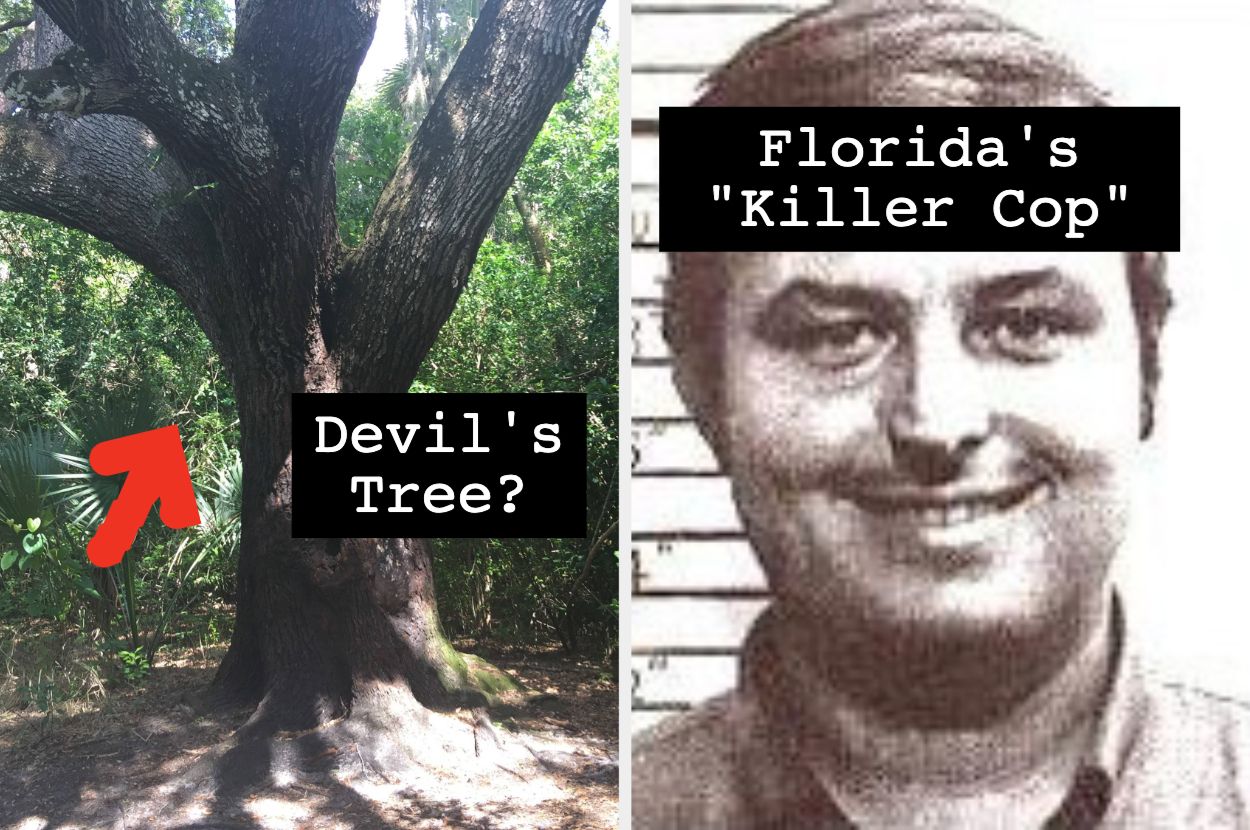 The Devil's Tree