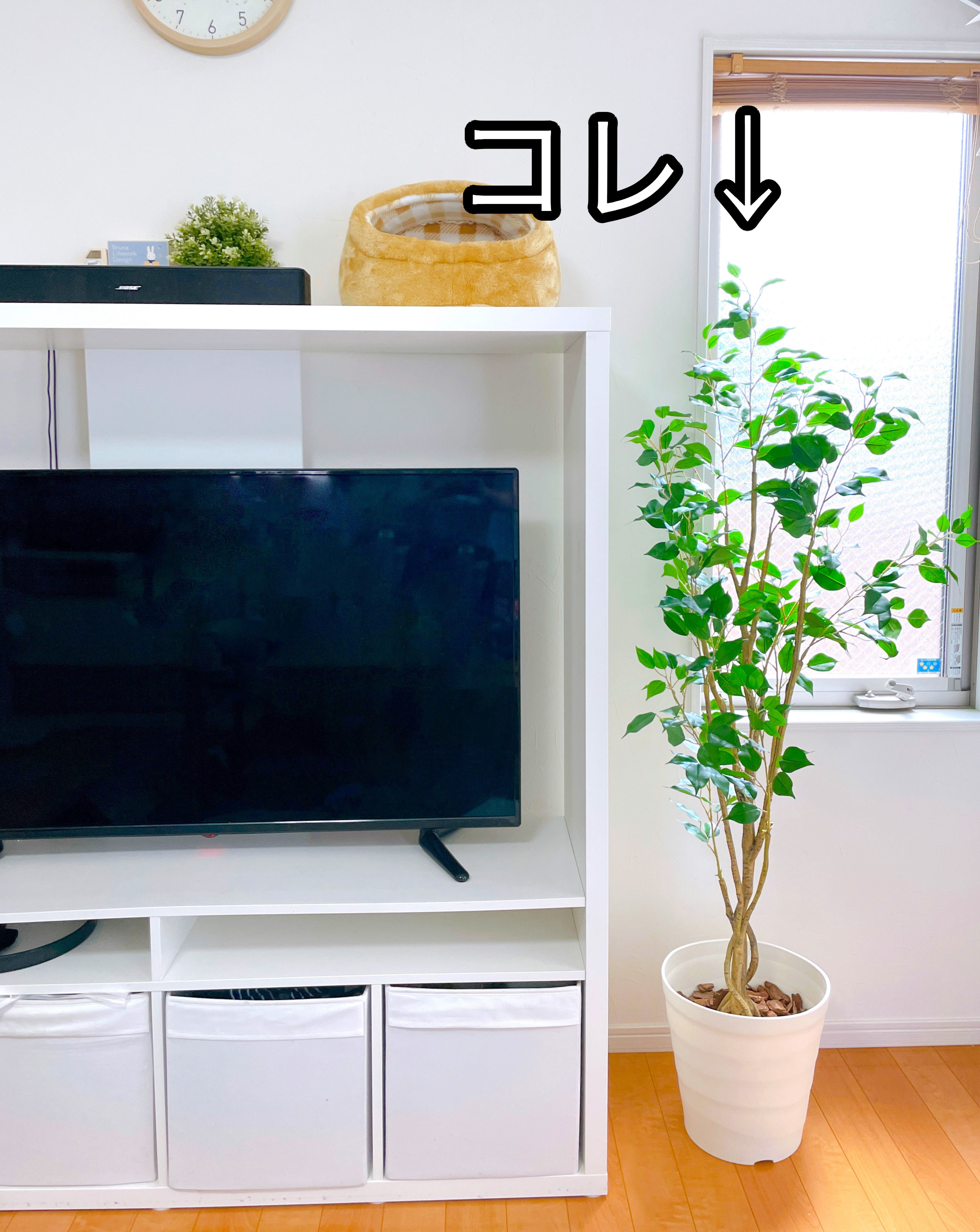 ニトリのおかげで「大きな観葉植物のあるお部屋に住みたい」という夢が叶っちゃいました！お世話が必要ないので、ズボラな私でも植物 を飾れるのが嬉しい《購入レビュー》