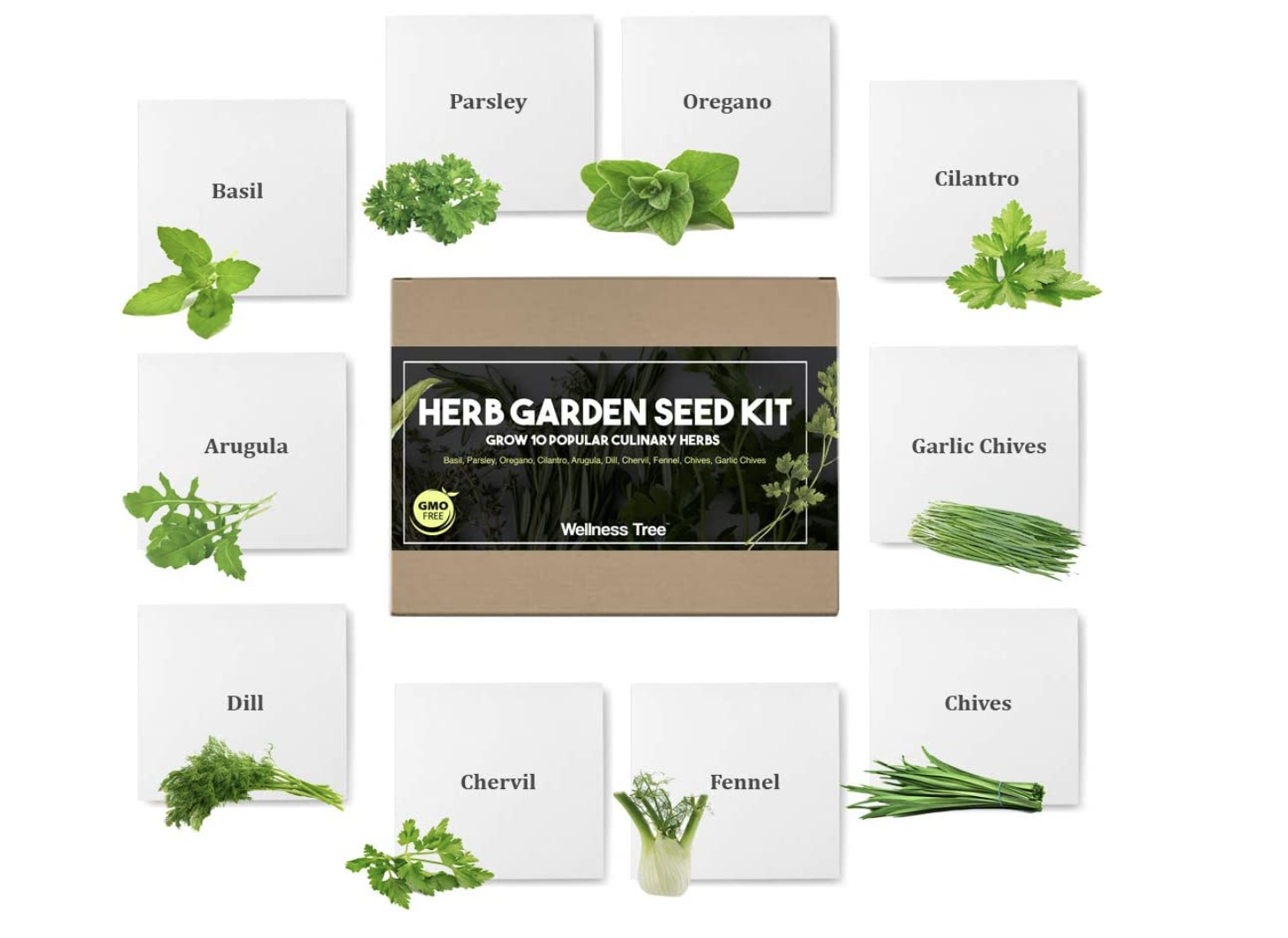 An herb garden grow kit with 10 herbs and plants included