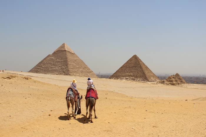 Two people riding camels by the Egyptian Pyramids.