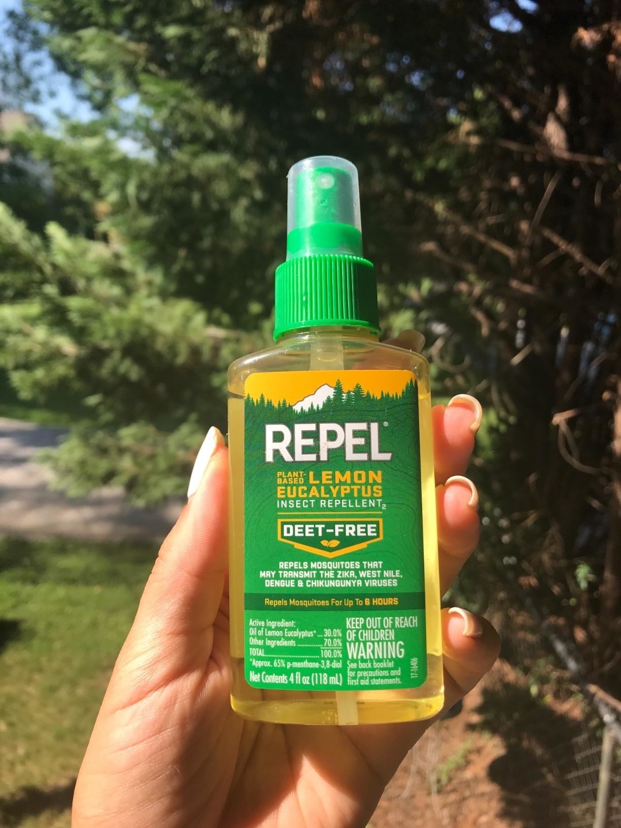 Reviewer&#x27;s photo of the bug spray