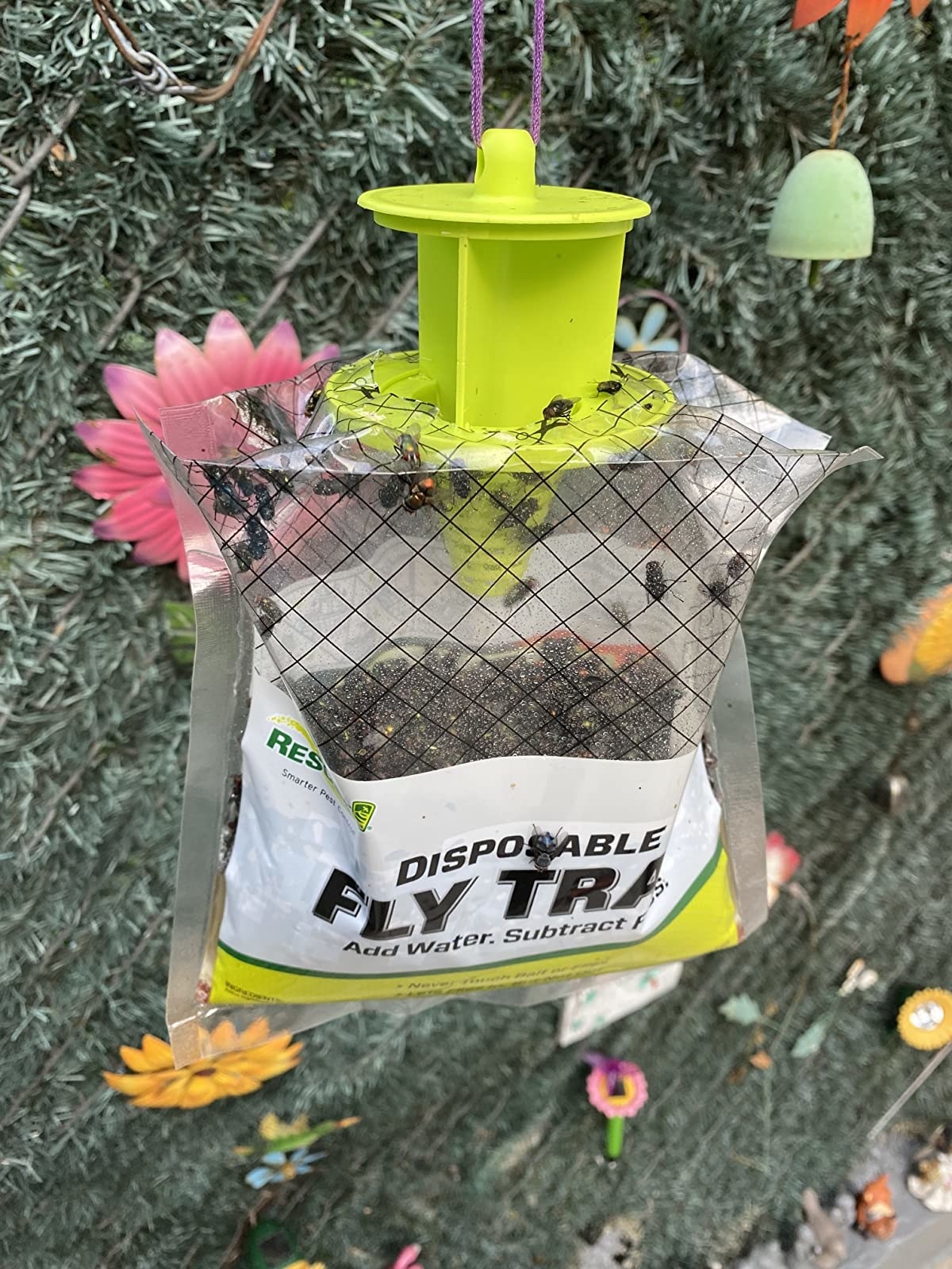 Reviewer&#x27;s photo of the fly trap in use and full of flies