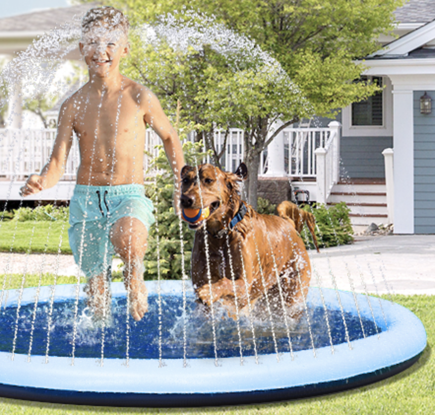 A child and a dog running through the splash pad