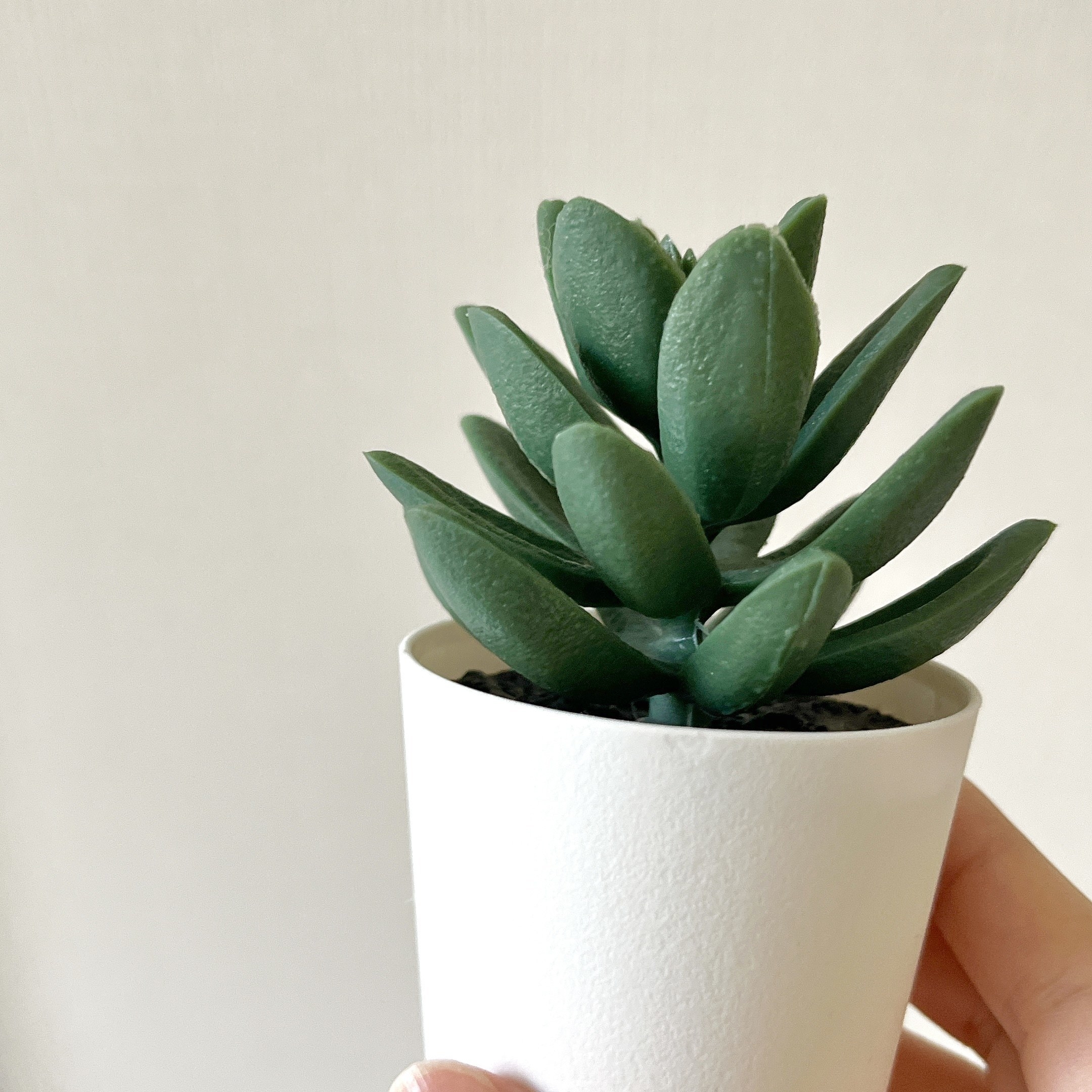 IKEAのフェイクグリーン「FEJKA フェイカ 人工観葉植物」がおしゃれでおすすめ
