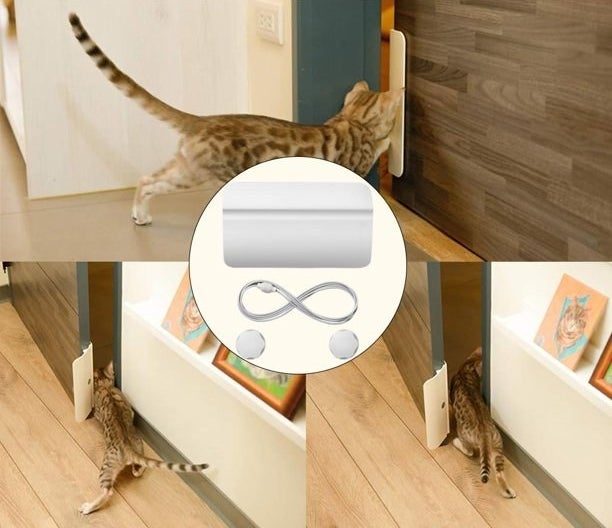 four different photos of a cat using the door