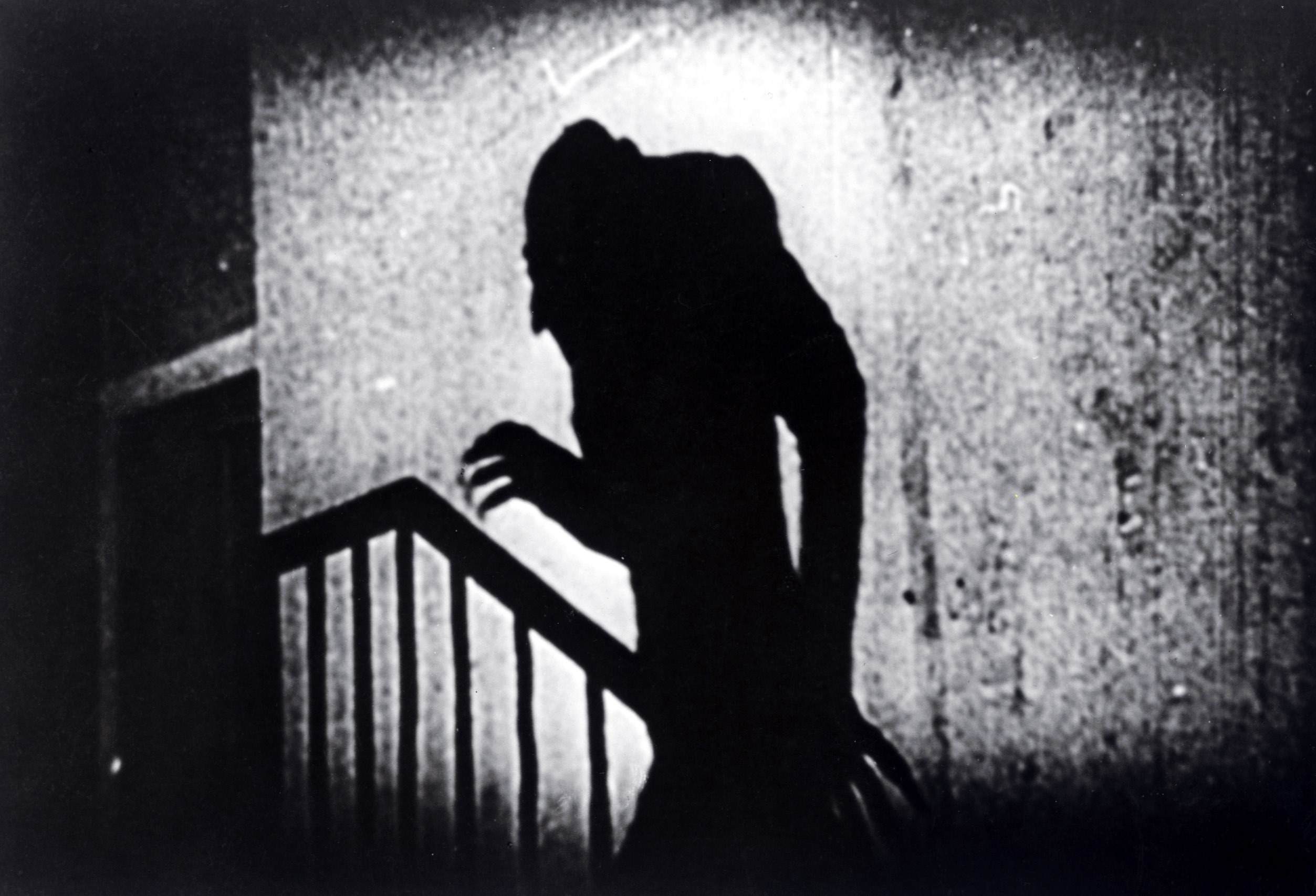 "Nosferatu"