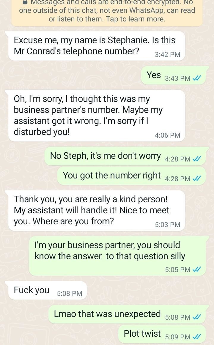 person pretends to be business partners with a scammer and gets them angered
