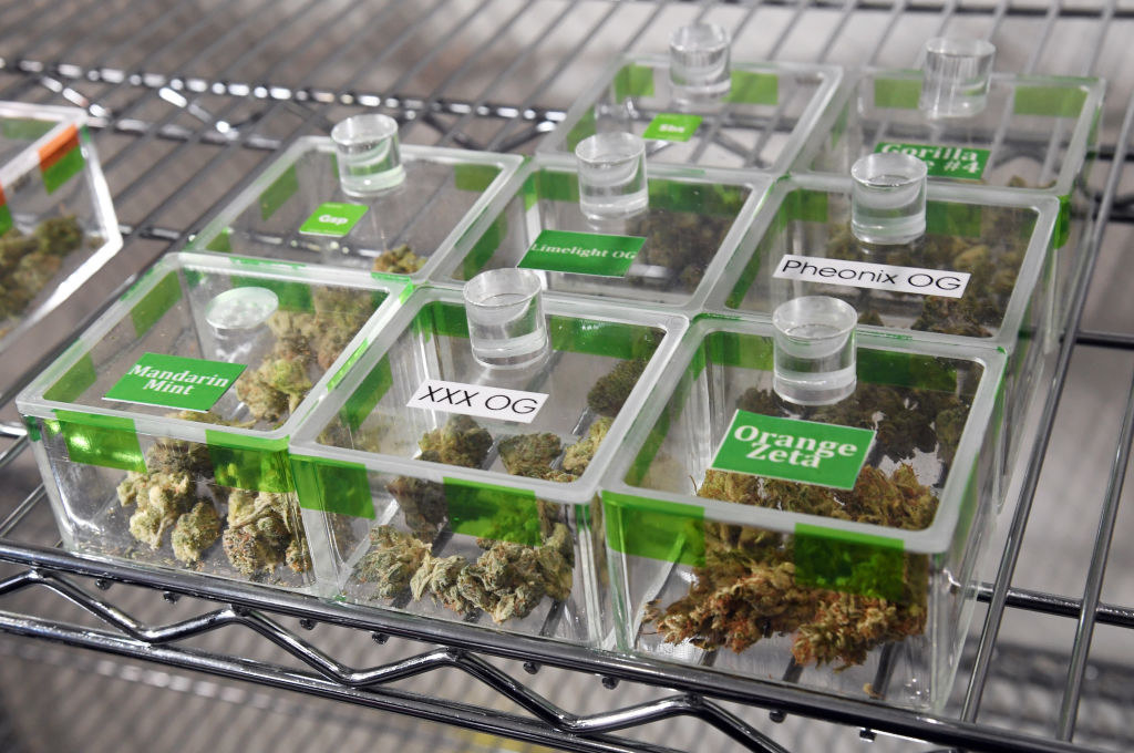Various types of cannabis are displayed at Essence Vegas Cannabis Dispensary