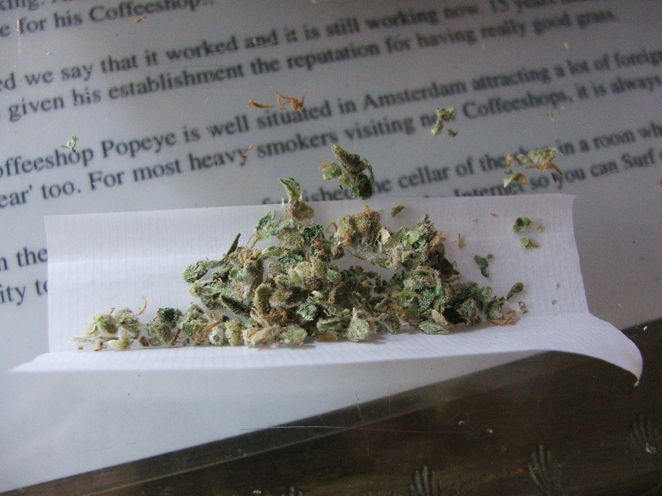 Cannabis leaves in rolling paper