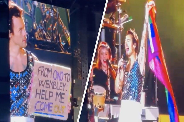 Harry Styles Helps Fan Come Out at San Jose Show