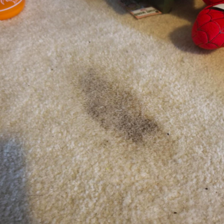 A reviewer's carpet darkened from a urine stain