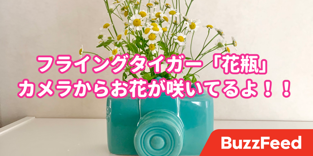 お花が5割増しでかわいくなった！フライングタイガー「カメラ型花瓶