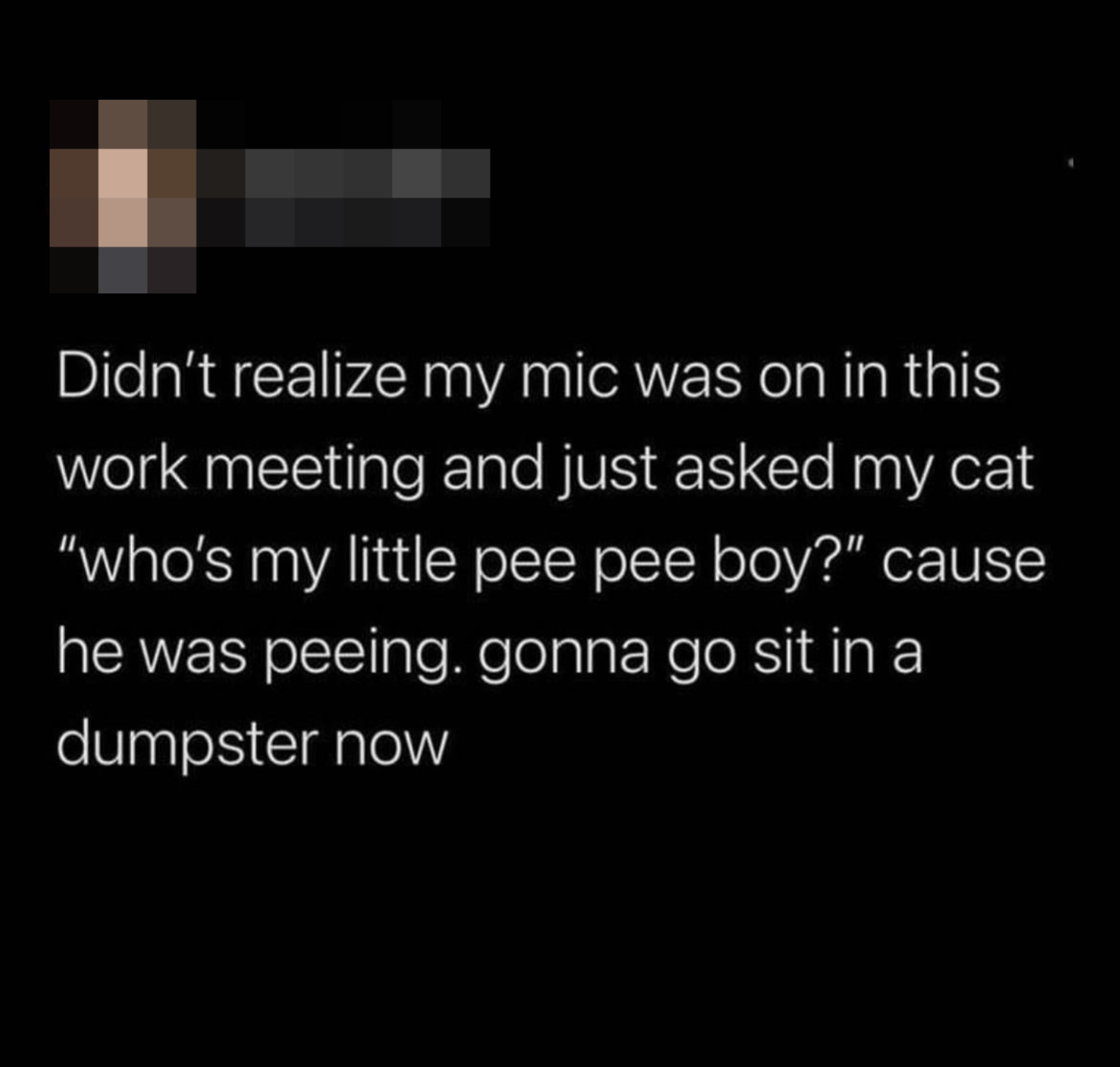 tweet of someone saying &quot;who&#x27;s my litttle pee pee boy&quot; to a cat while on Zoom