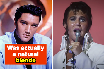 21 curiosidades absurdas sobre o Elvis que você precisa saber (além de ver o filme)