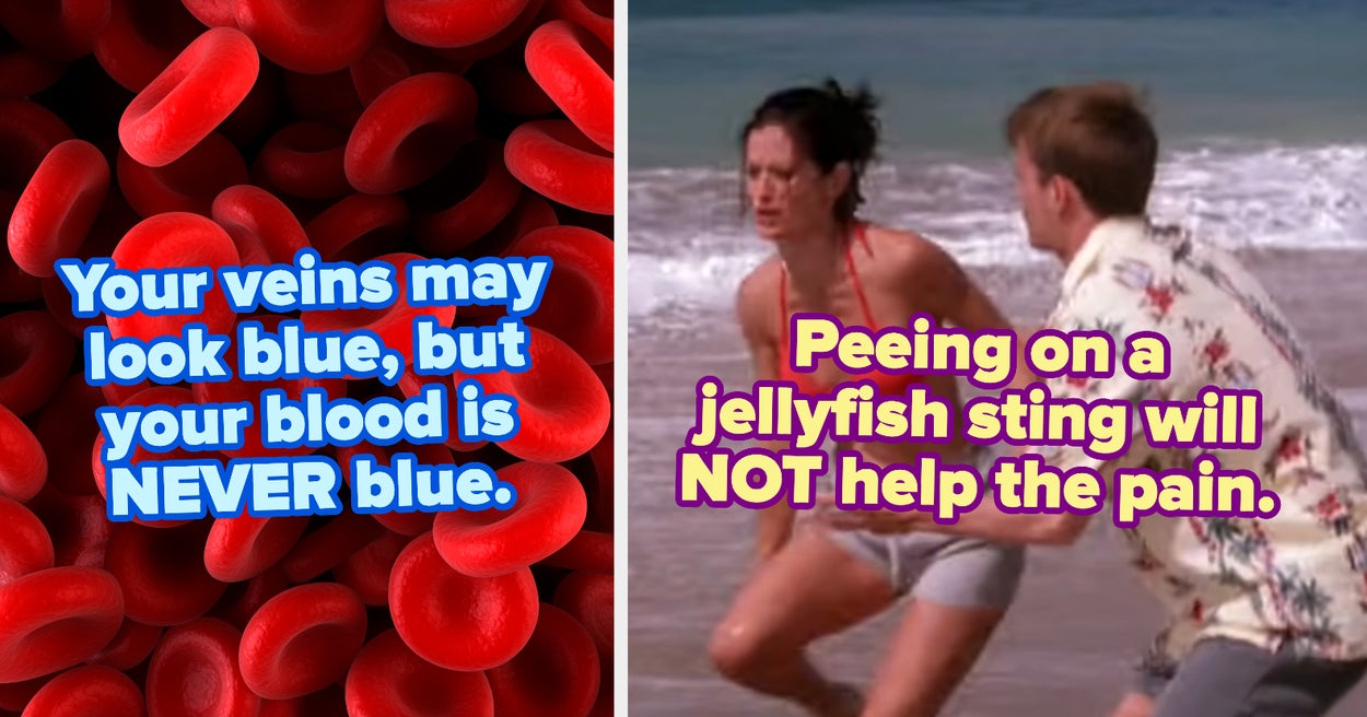 You Were Probably Taught These 16 Ridiculous Myths As A Kid, But Now It's Time You Learn The Truth
