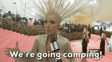 gif of celine dion at met gala saying we&#x27;re going camping!