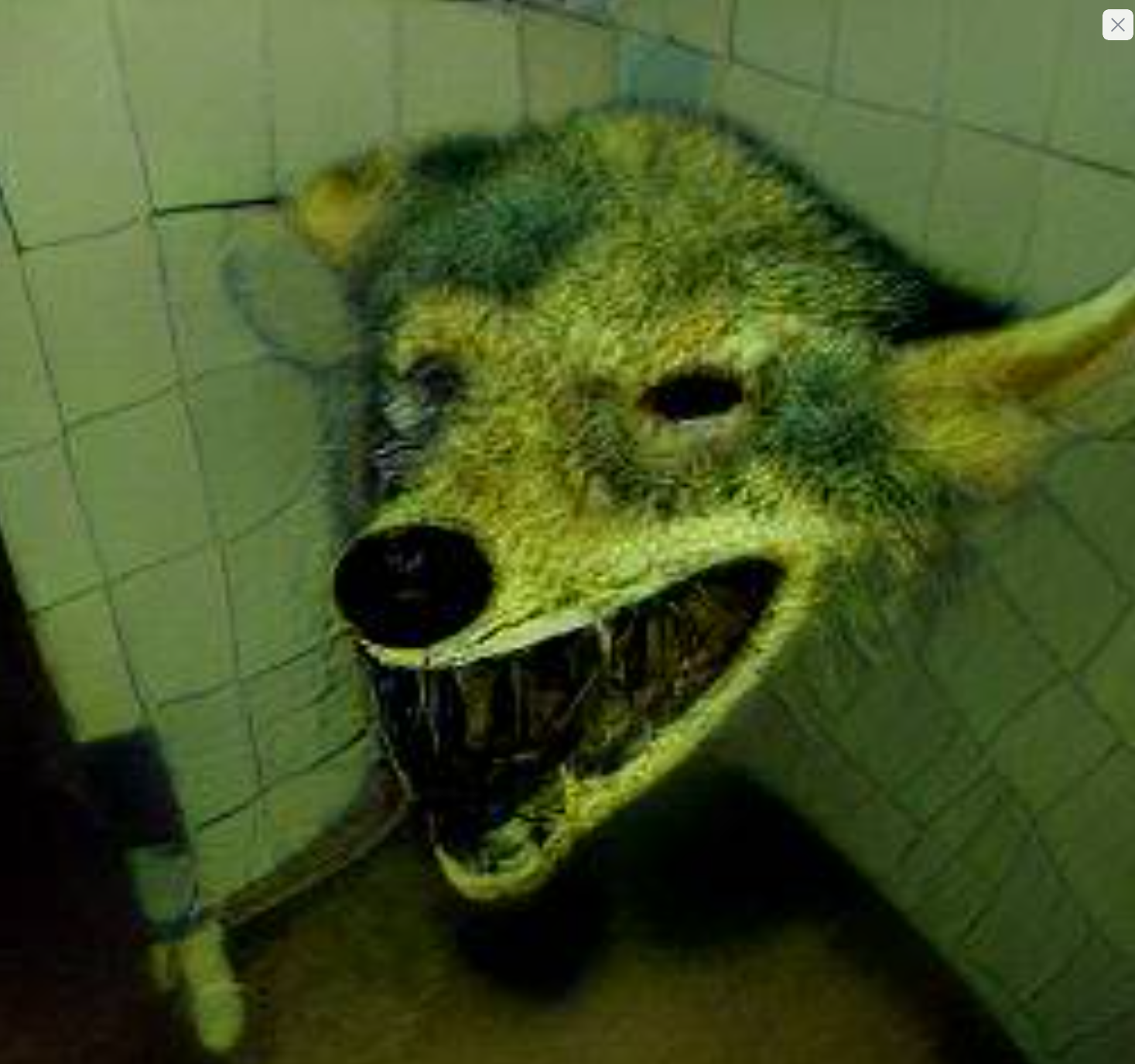 AI generated photo of a jackal head in a bathroom