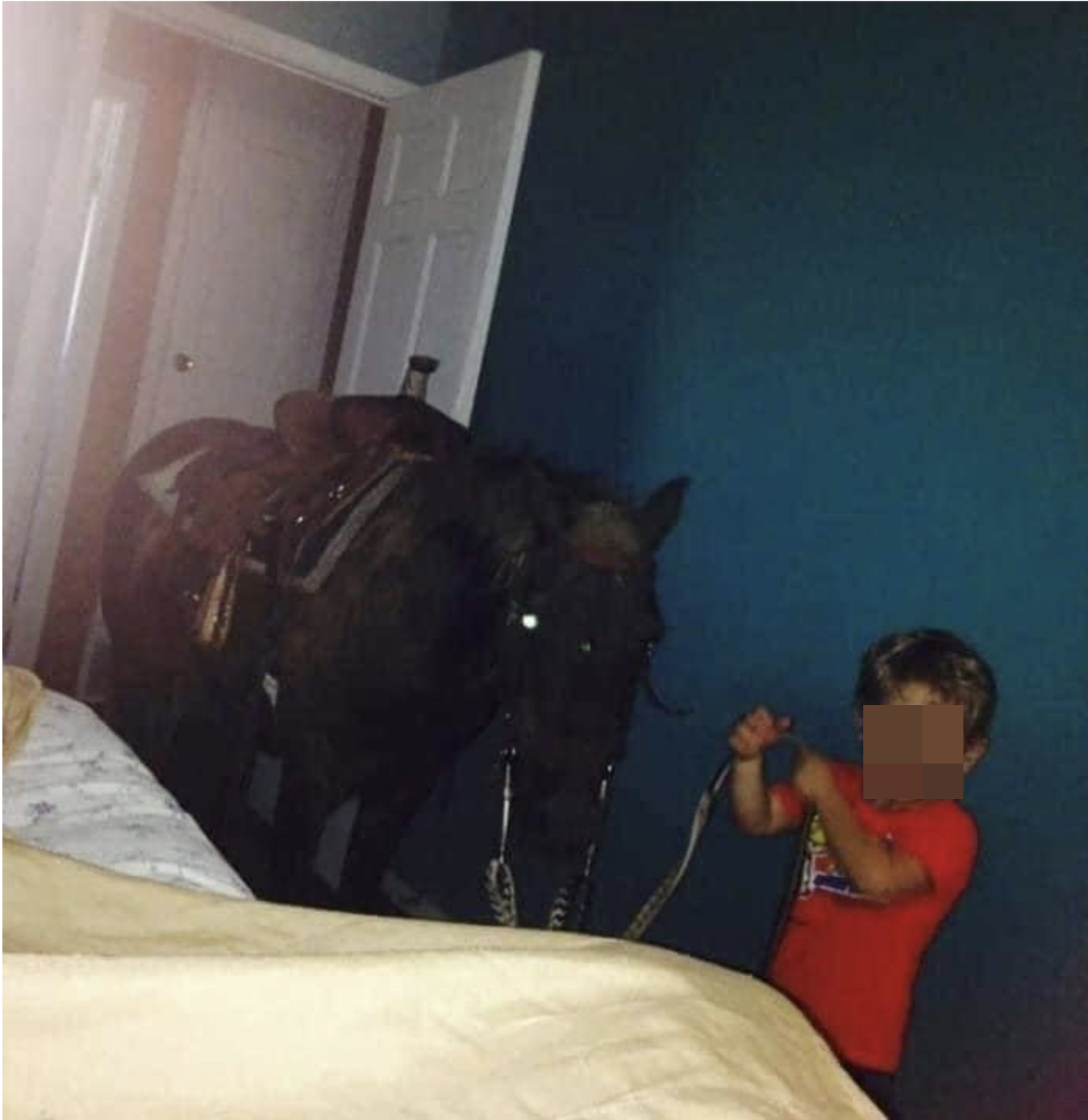 a kid bringing in a pony into the bedroom