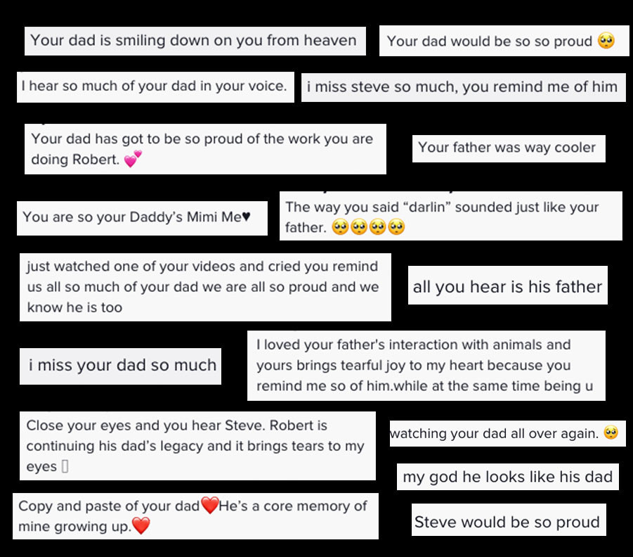 A collage of comments mentioning Steve Irwin