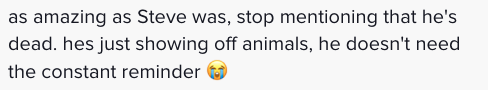 A comment on Maggie&#x27;s TikTok