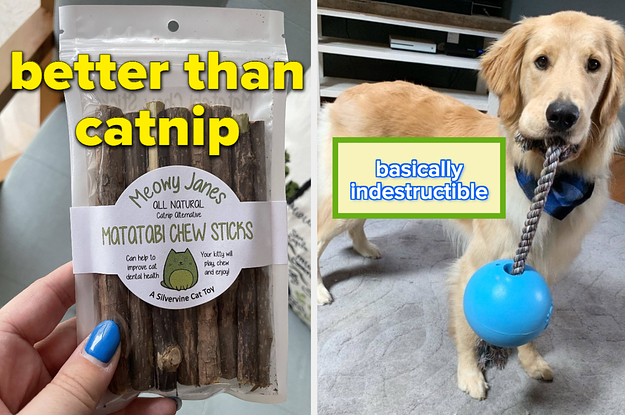 a buzzfeeder holding a bag of silvervine cat treats; a reviewer's dog with a ball on a rope
