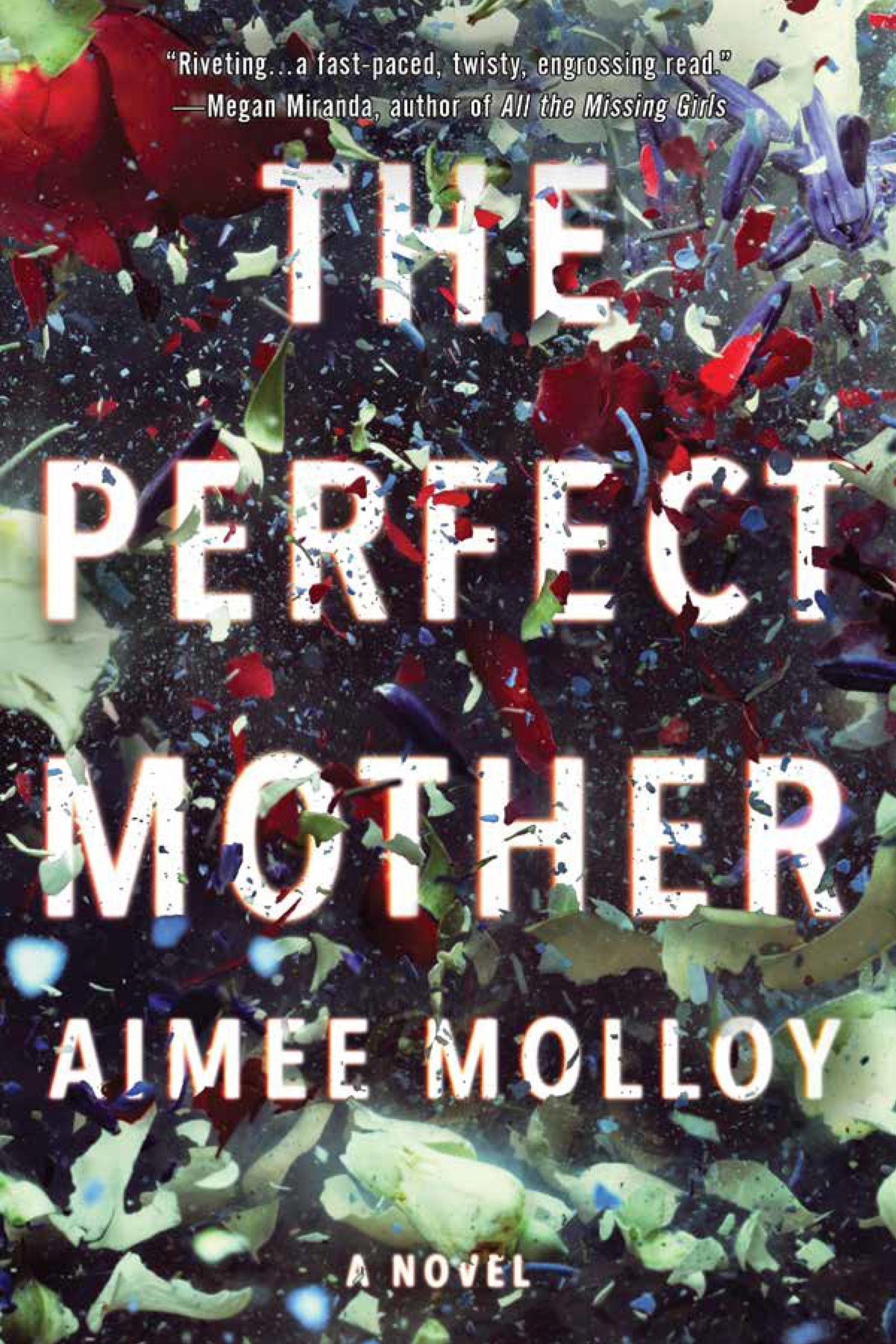 The cover of &quot;he Perfect Mother&quot; by Aimee Molloy.