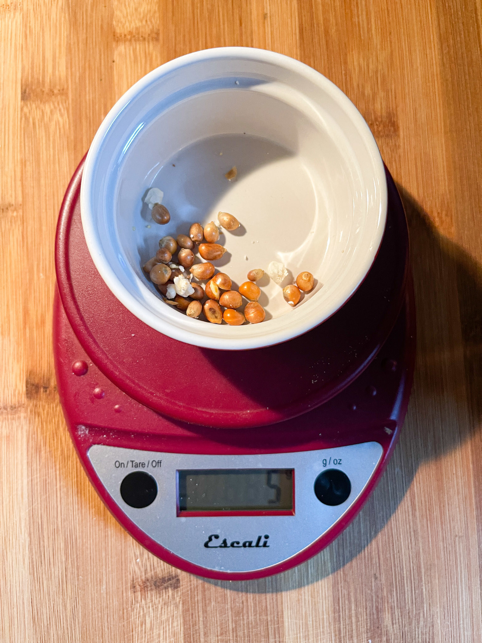 popcorn kernels in a popcorn maker