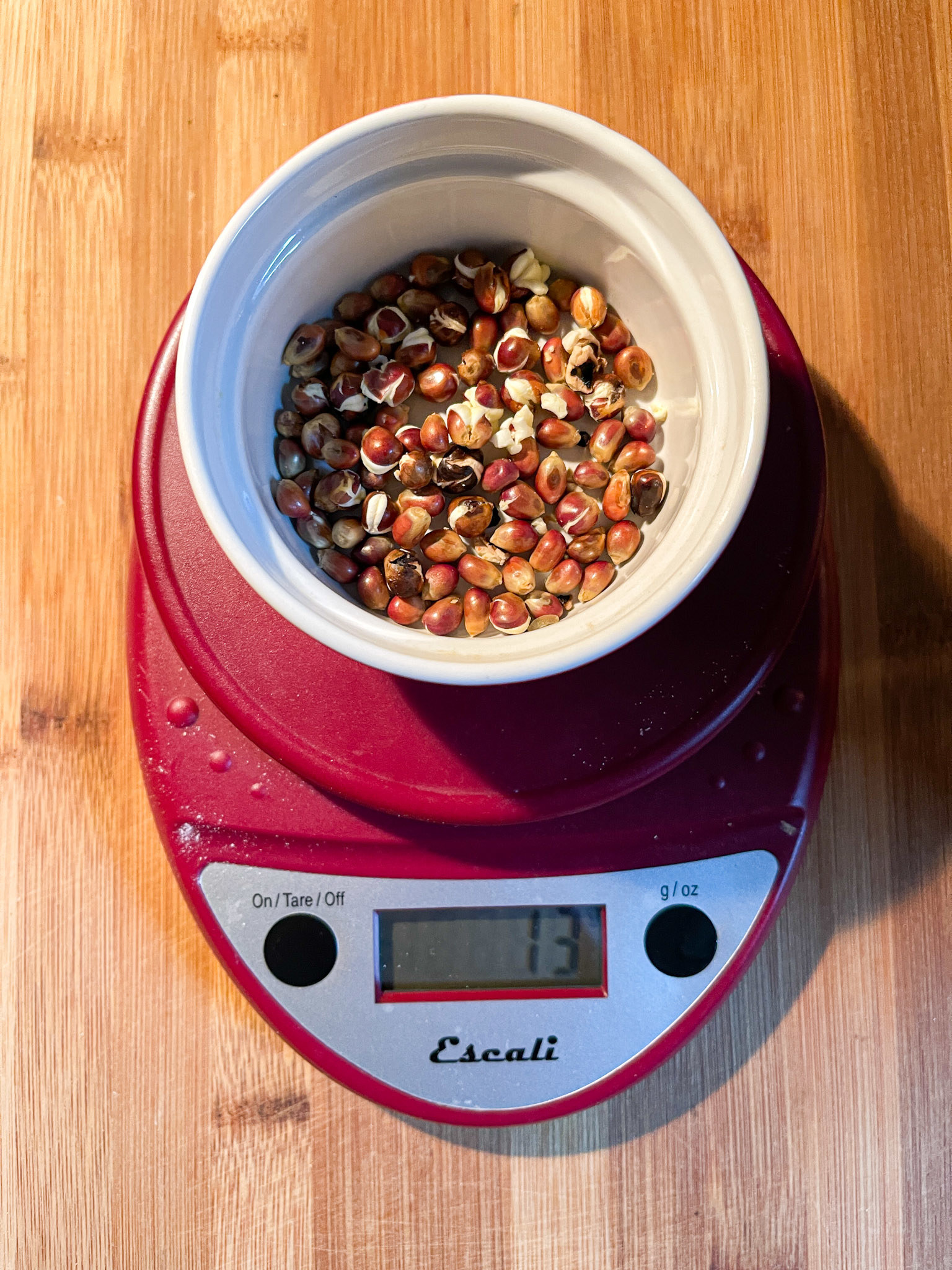 popcorn kernels in a popcorn maker