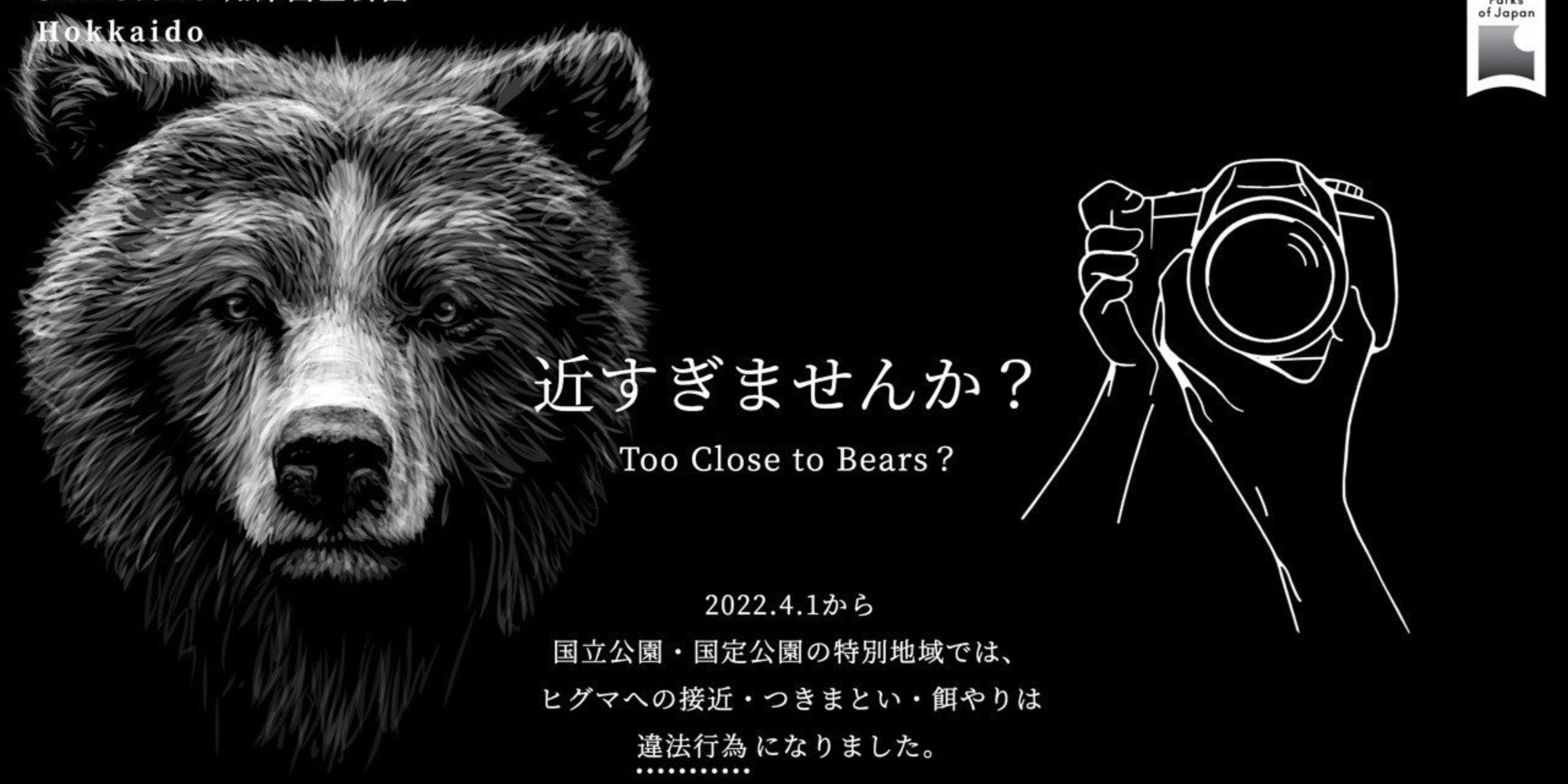 人間の軽率な行動で… 北海道でいま起きている「ヒグマ」の危機とは