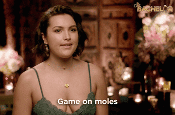 A Bachelor contestant saying, &quot;Game on, moles!&quot;