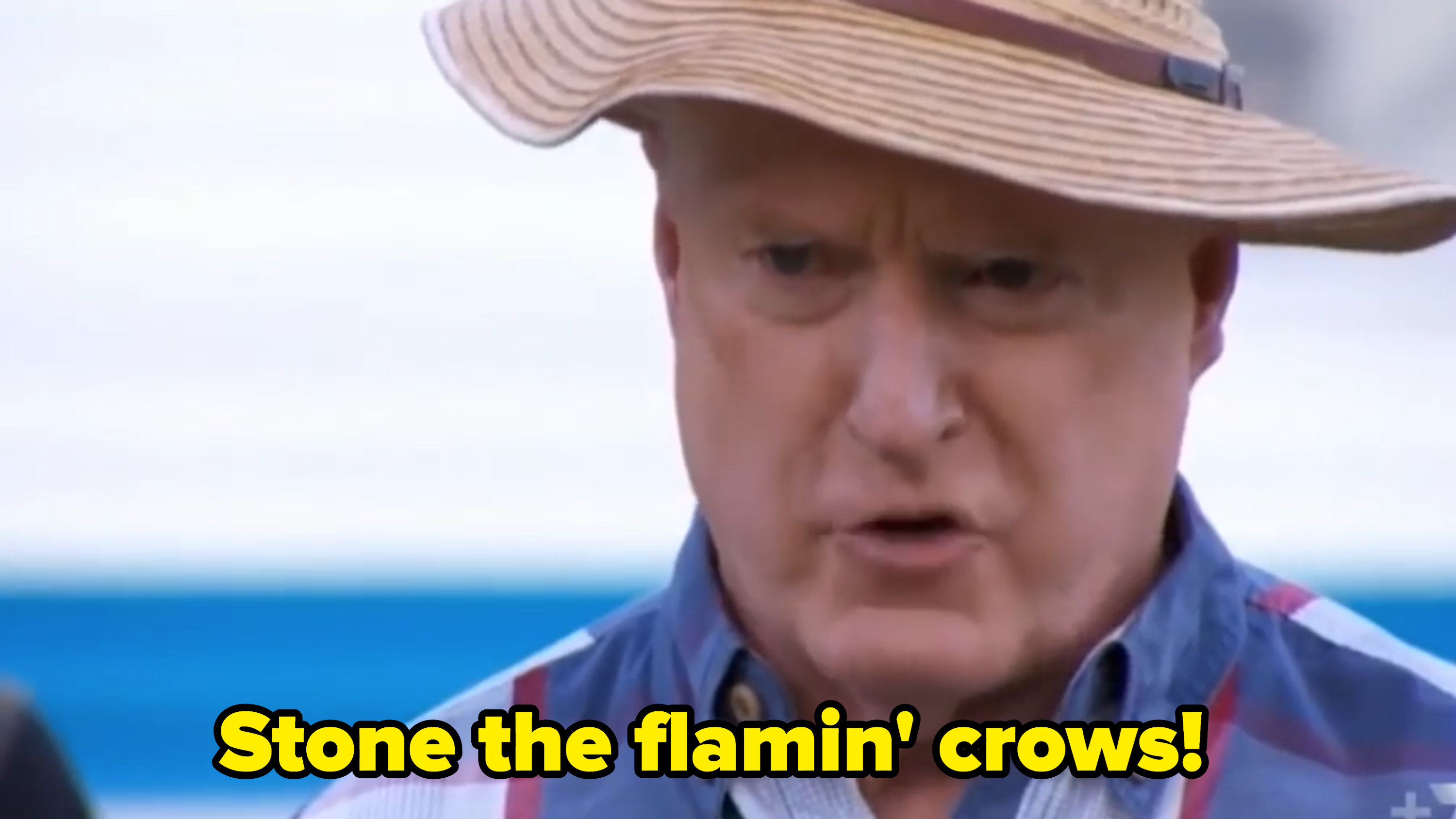 Alf Stewart from Home And Away saying &quot;Stone the flamin&#x27; crows!&quot;