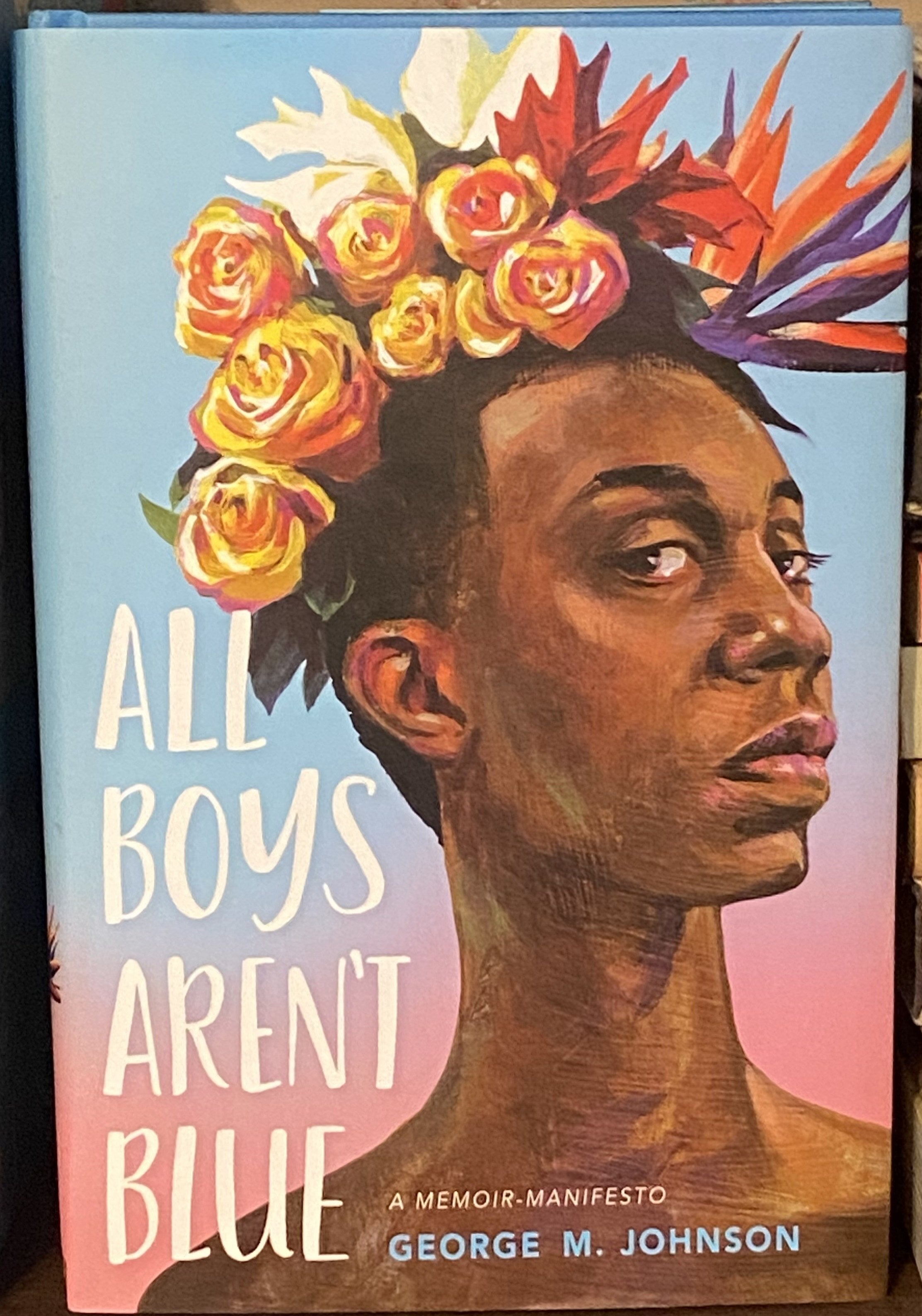 Cover of &quot;All Boys Aren&#x27;t Blue&quot;