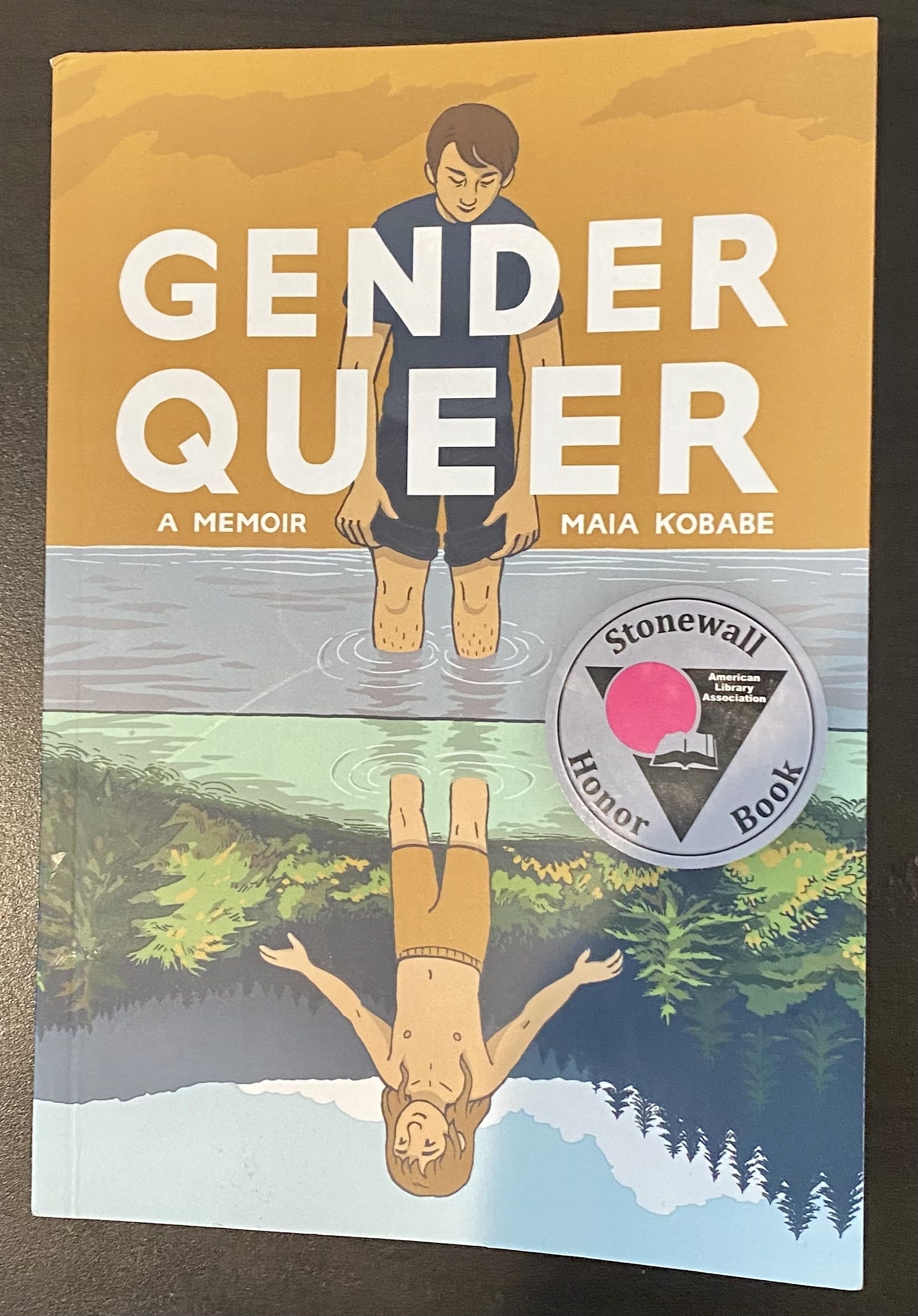 Cover of &quot;Gender Queer: A Memoir&quot;